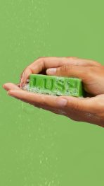 Avocado – 100g - 图片 4