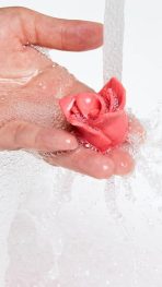 Sunset – 100g - 图片 3