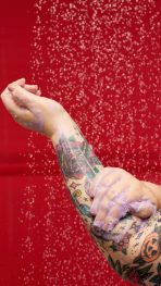 Christmas Bliss – Each - 图片 5