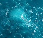 Big Blue – 190g - 图片 3