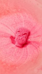 Boo! – Each - 图片 5