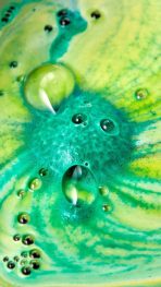 Chelsea Morning – 180g - 图片 4